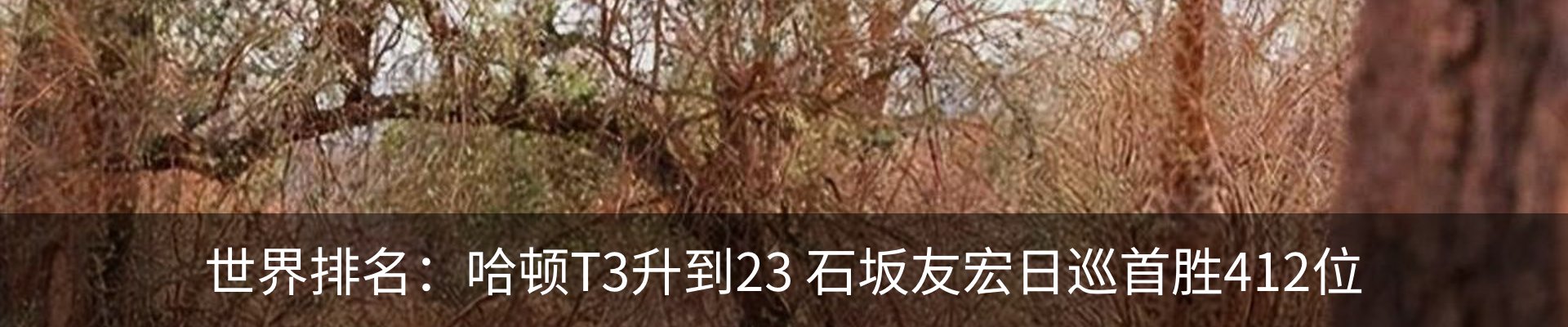 新闻中心